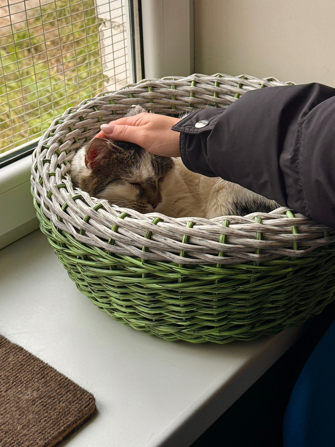 Иногда добрые дела начинаются с маленьких шагов