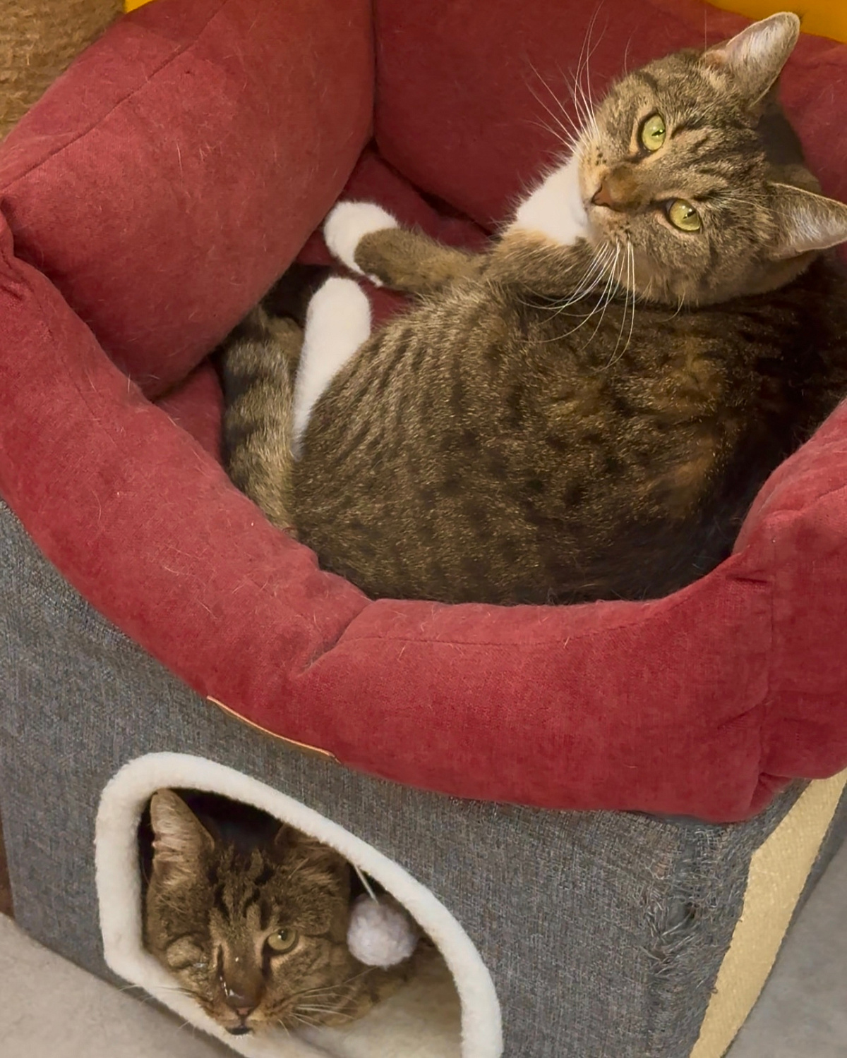 Иногда добрые дела начинаются с маленьких шагов