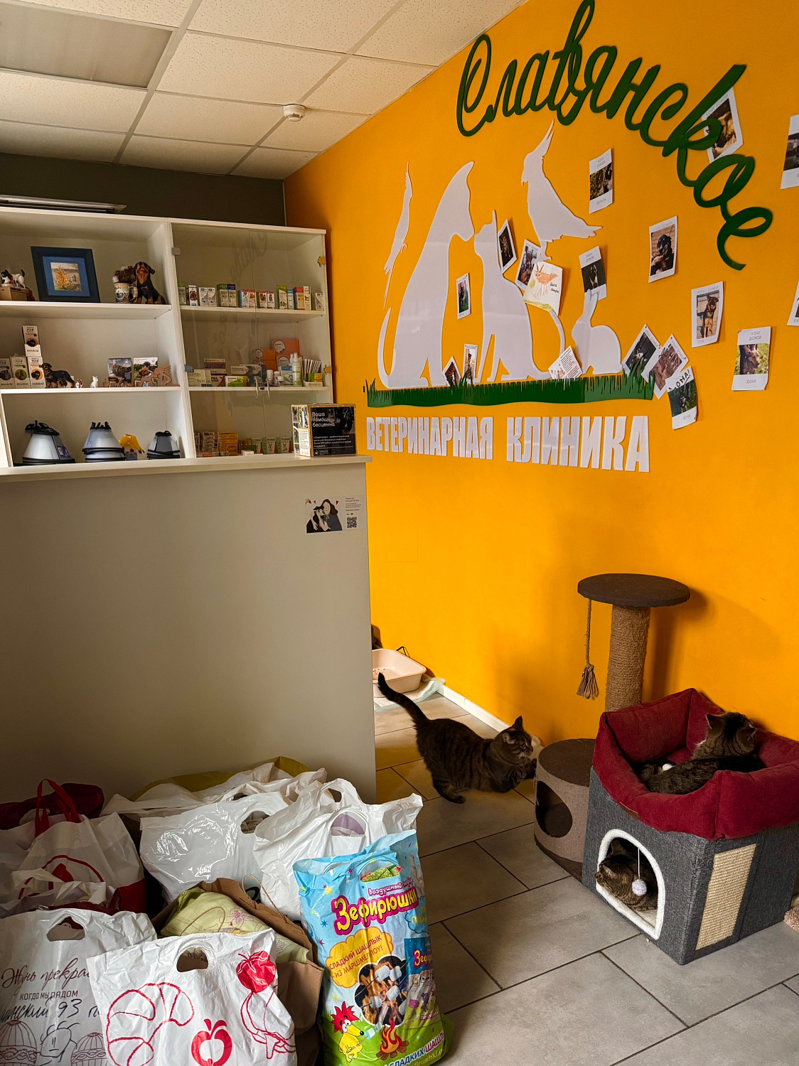 Иногда добрые дела начинаются с маленьких шагов