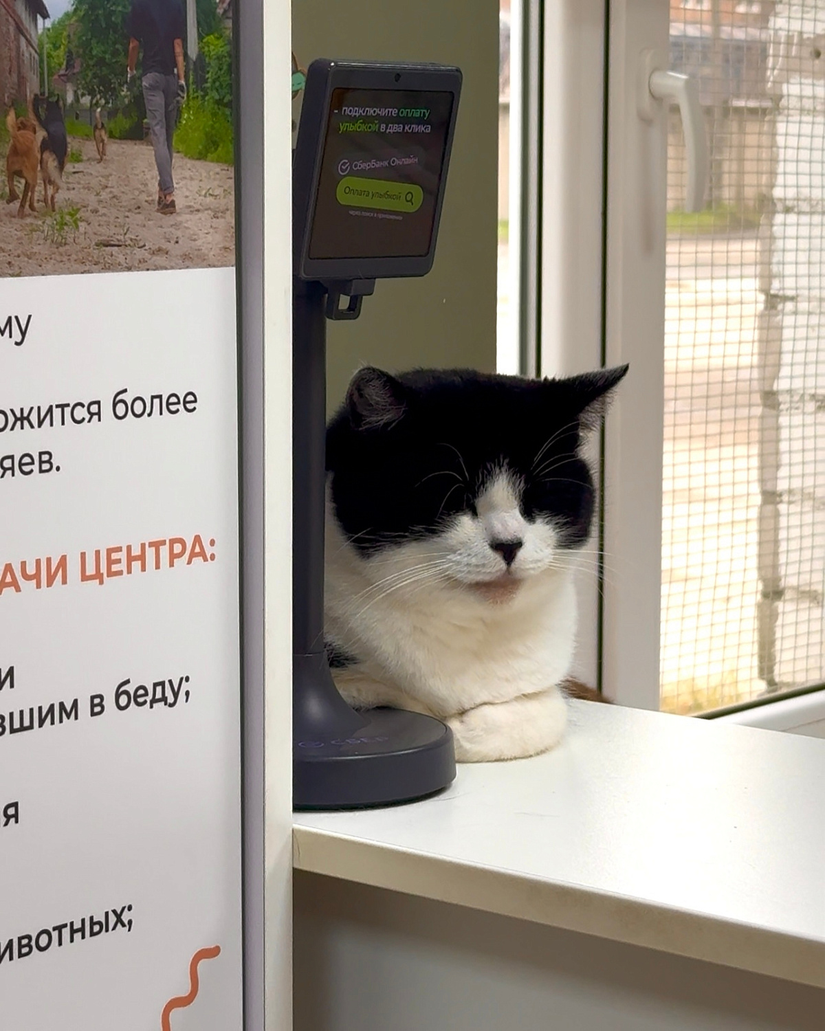 Иногда добрые дела начинаются с маленьких шагов