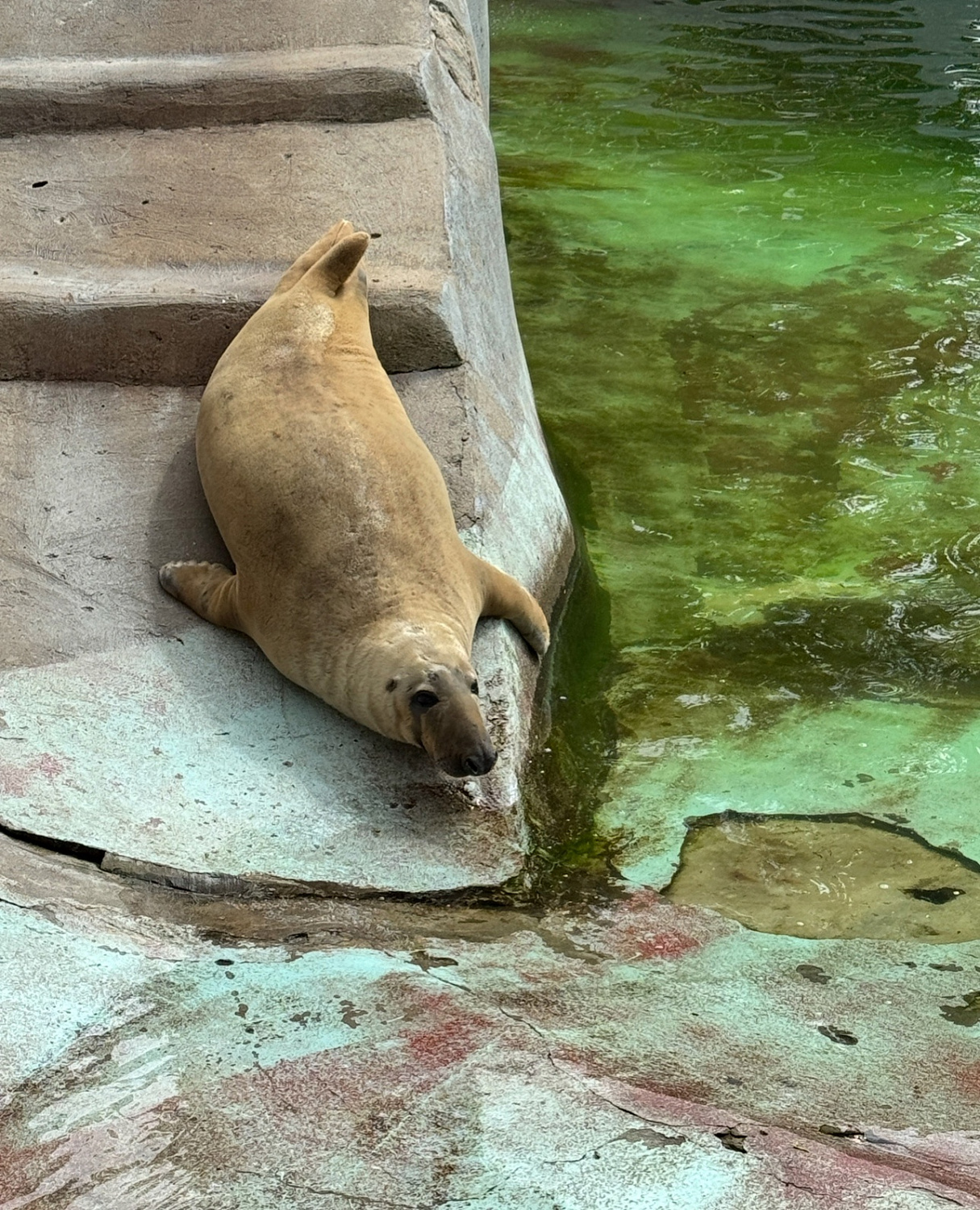 Благотворительная лотерея